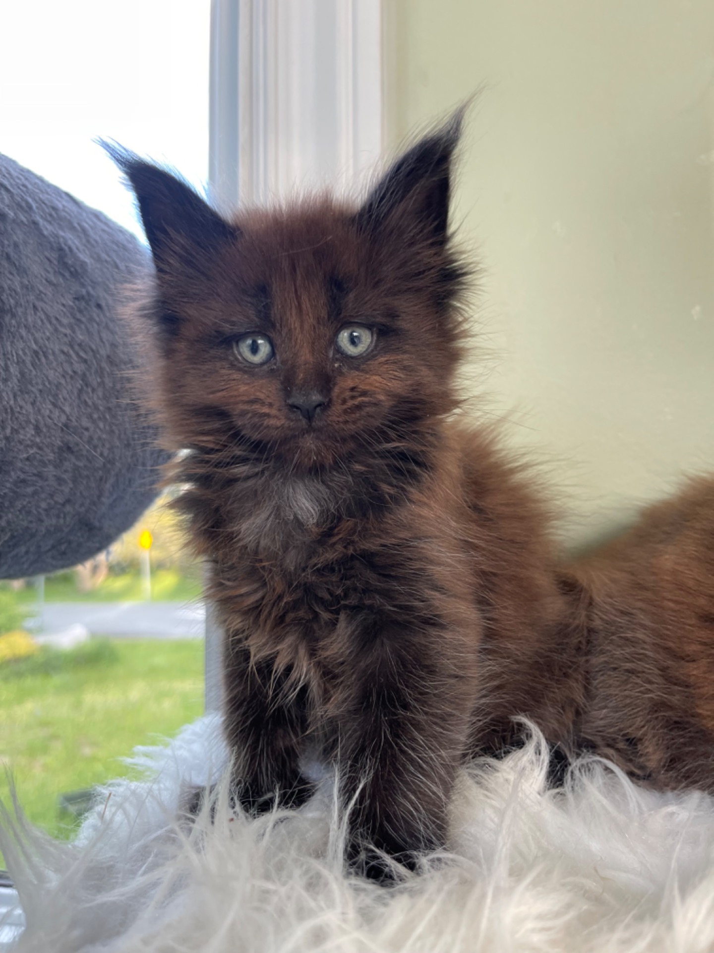 Coco - Solid Black Girl - reserved